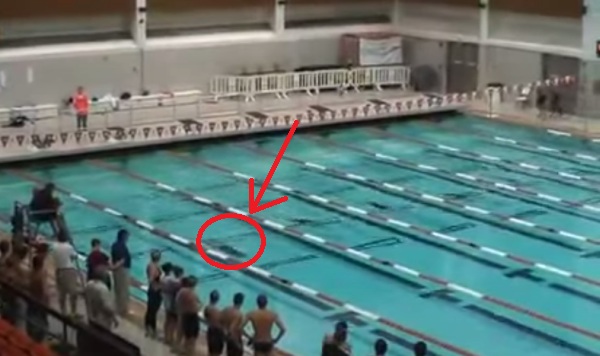 You Won’t Believe What This Guy Did During The Entire Race. Is He Even Human Or Is He A Dolphin?