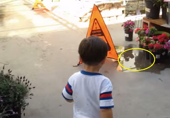 This Kid Had Actually Read The Sign But Failed To Follow It. What Happened Next Will Teach You Something