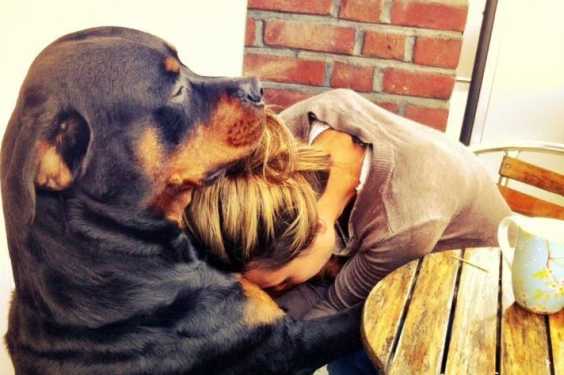 17 Reasons Why You Should Be Thankful For Your Dog