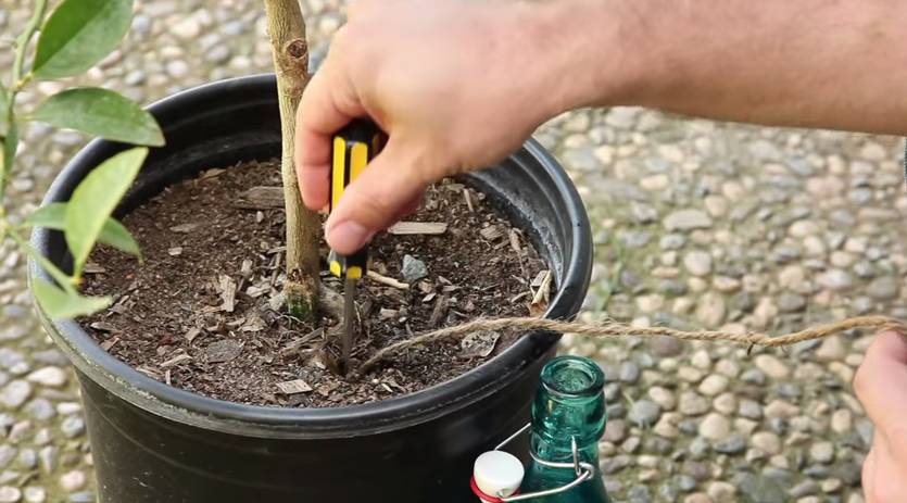 30-Second Tip For Making Watering Pot