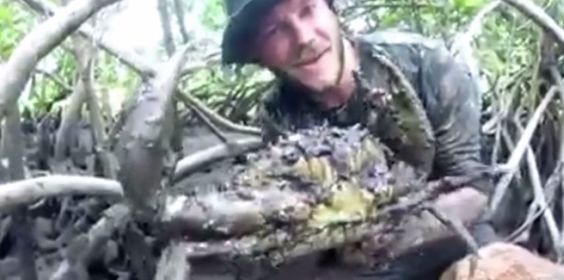 Man Unbelievably Catches Mud Crabs With His Bare Hands Only