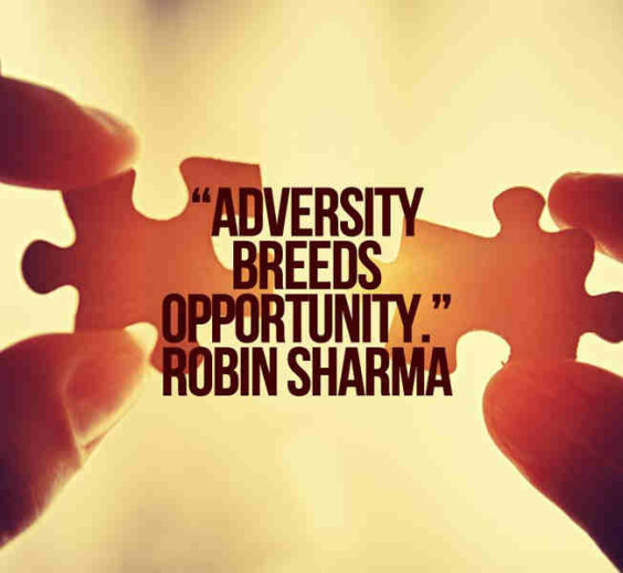 robin sharma quotes 19