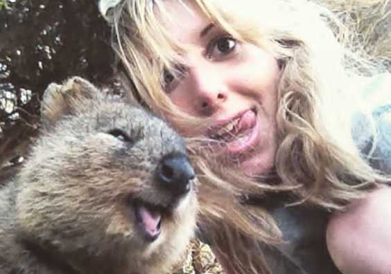 Quokka Selfie: The Cutest Trend In Australia That Will Steal Your Heart