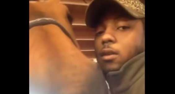 Must-Watch: Man Sweetly Kisses Horse And The Horse Surprisingly Did Something Nice Back