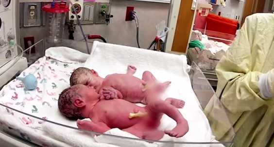 Newborn Twins Meet For The First Time And It’s So Heartwarming To Watch