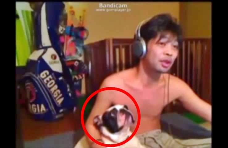 Hilarious Dog Sniffs His Master’s Armpit, Passed Out…I Can’t Still Move-On From Laughing…Hahaha…