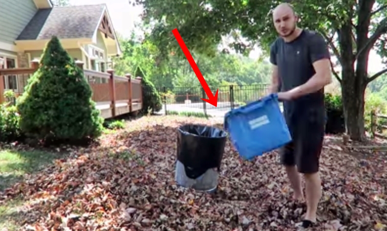 5 Easy Solutions To Clean-Up Fallen Leaves – This Could Be A Great Help For You