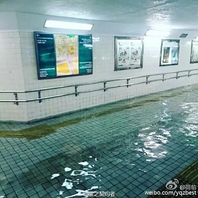Viral Right Now: Chinese Netizens And Even The World Are Surprised On How Clear The Floodwaters In Japan Look Like – I Feel A Bit Envy Seeing This