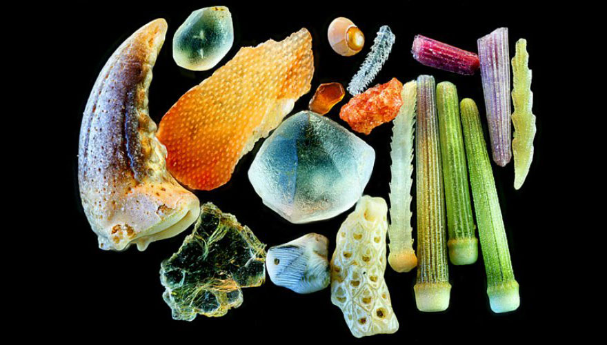When Dr. Greenberg Placed Some Sand Under A Microscope, What He Saw Really Amazed Him As I Am