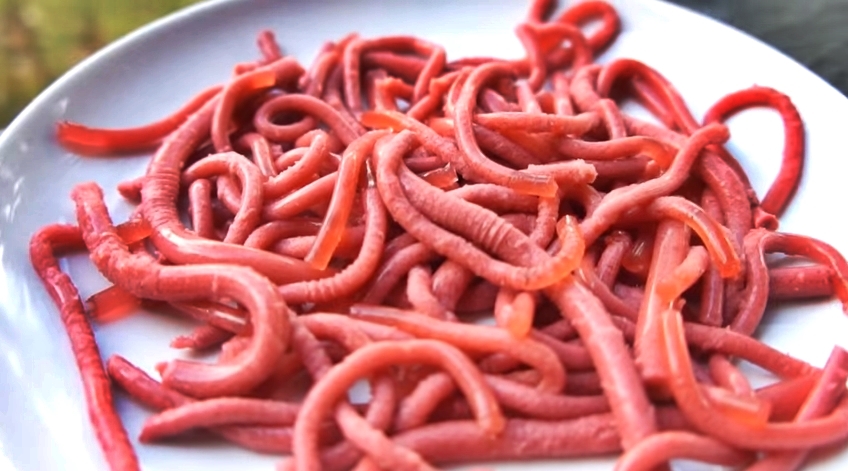 This Could Be The Best Halloween Treat To Give To Children, Edible Worms – Well, They’re Not Real Ones..
