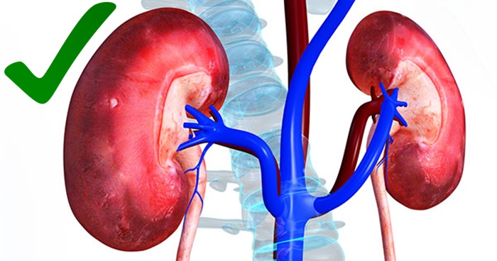 Very Important: Learn How To Know If You Have Signs Of Kidney Problems…