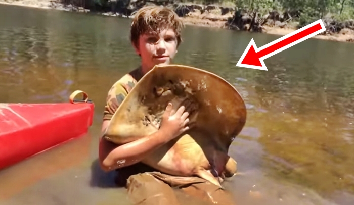 Boy Helps Stingray Giving Birth With 12 Babies, Such A Rare Moment…