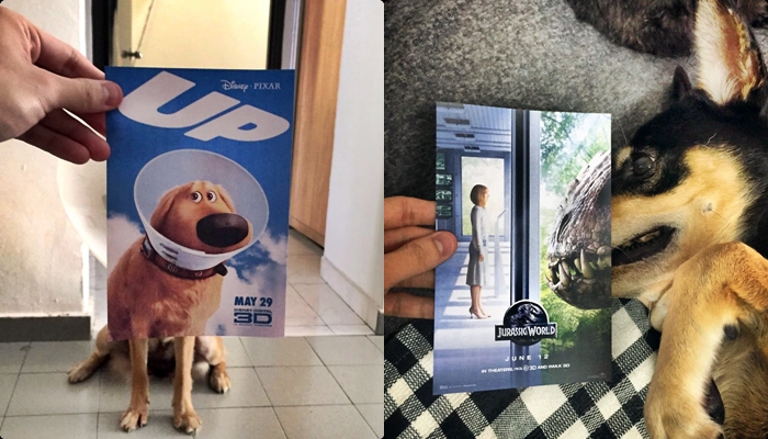Artist Hilariously Completes Famous Movie Posters With Real Dogs – Such Creativity And Wittiness