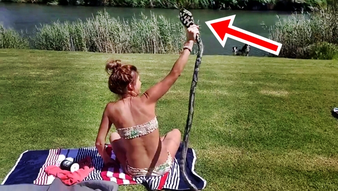 How This Girl Reacted On Incoming Cobra Will Blow Your Minds Out – Must See