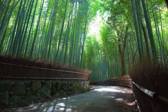 3-arashiyama-bamboo-forest-japan