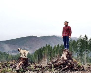30 Photos Showing The Adventure Of Jeremy Veach And His Pet Norm