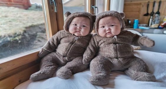 7-cute-twin-bears