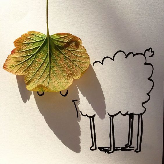 9-leafs-shadow-turns-drawing-into-sheep