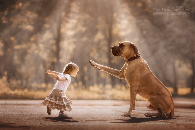 32 Photos Of Little Kids And Their Big Dogs By Andy Seliverstoff