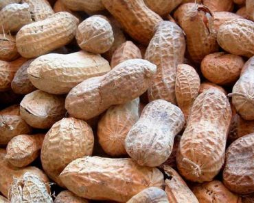 Healthy Reasons Why You Should Add Peanuts To The List Of Your Daily Diet