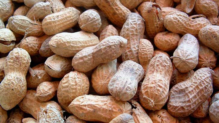 Healthy Reasons Why You Should Add Peanuts To The List Of Your Daily Diet