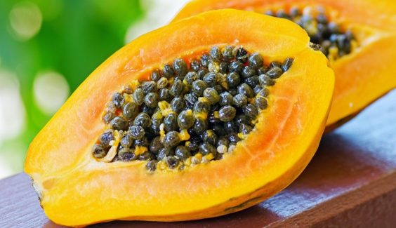 Papaya Seeds Health Benefits