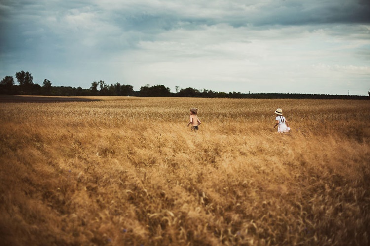 Photo of Kids Playing in the Field